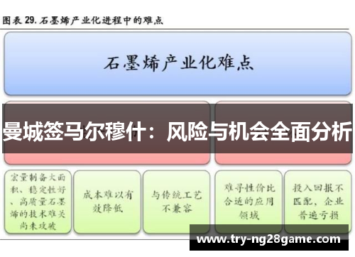 曼城签马尔穆什：风险与机会全面分析