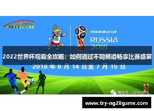 2022世界杯观看全攻略：如何通过不同频道畅享比赛盛宴