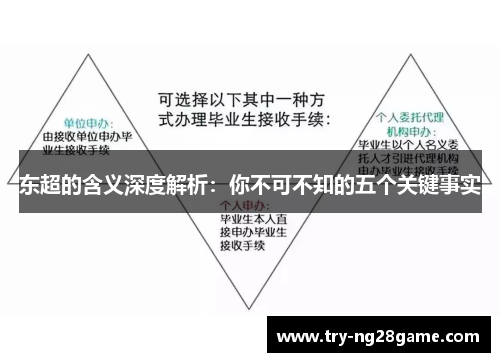 东超的含义深度解析：你不可不知的五个关键事实