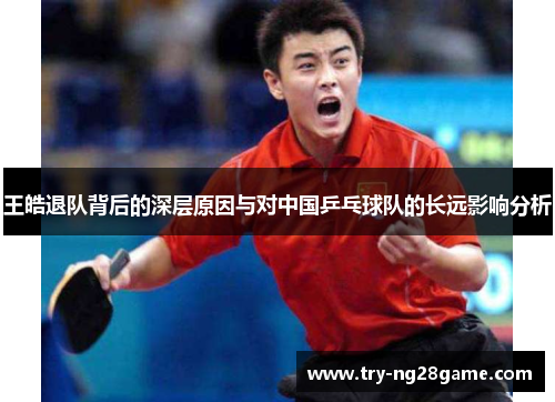 王皓退队背后的深层原因与对中国乒乓球队的长远影响分析