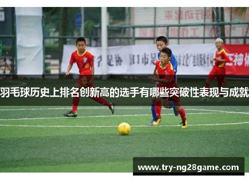 羽毛球历史上排名创新高的选手有哪些突破性表现与成就