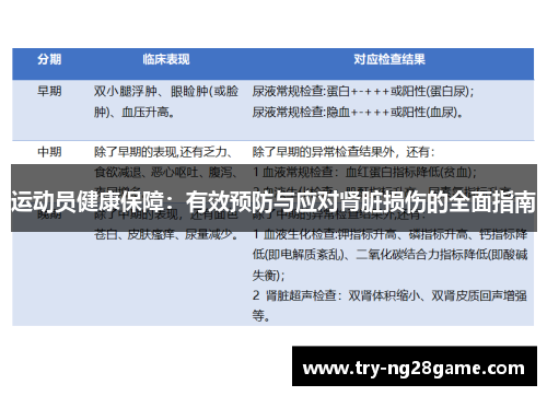 运动员健康保障：有效预防与应对肾脏损伤的全面指南