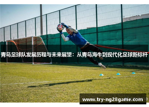 青岛足球队发展历程与未来展望：从青岛海牛到现代化足球新标杆