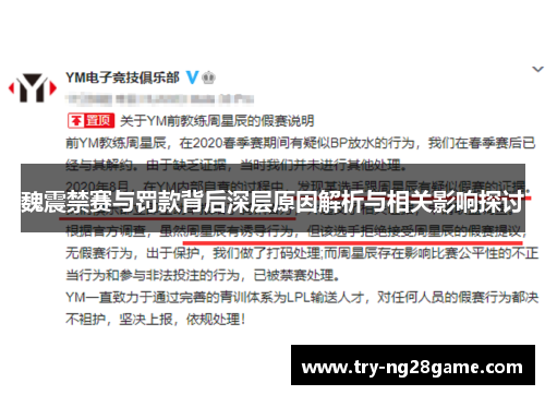 魏震禁赛与罚款背后深层原因解析与相关影响探讨