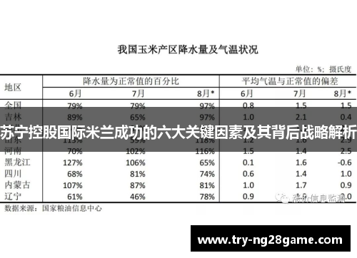 苏宁控股国际米兰成功的六大关键因素及其背后战略解析