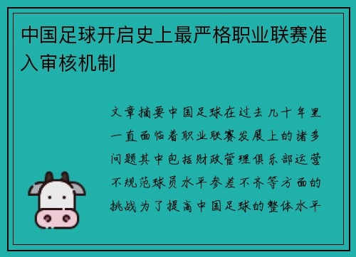 中国足球开启史上最严格职业联赛准入审核机制 中国足球开启史上最严格职业联赛准入审核机制